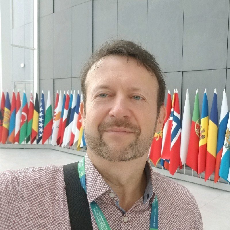 Wim De Coen